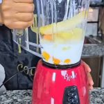 Rodi Electric Countertop Blender