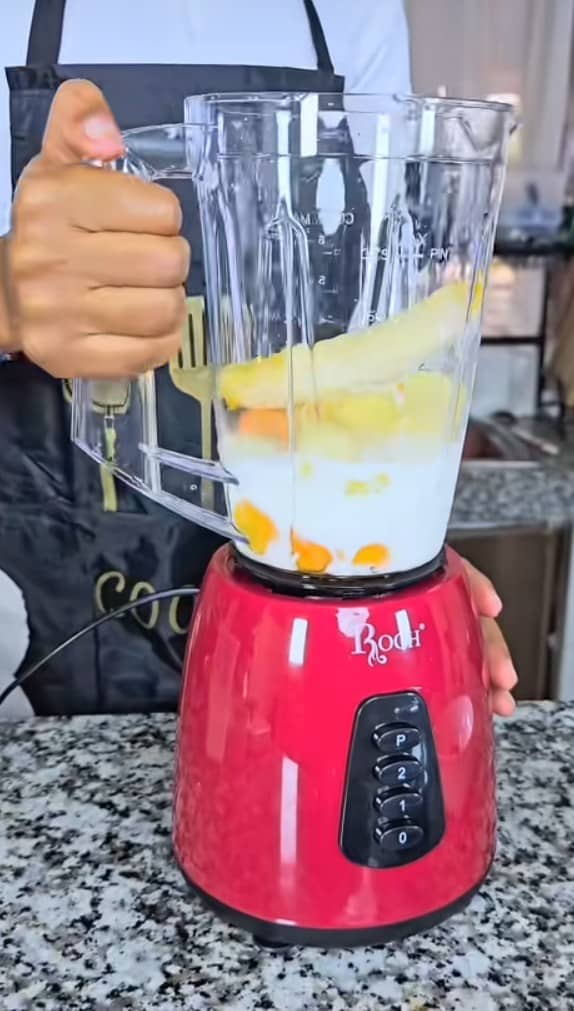 Rodi Electric Countertop Blender