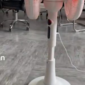 Dual-Head Oscillating Standing Fan with LED Light